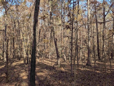 0 Baron Dekalb Rd, Camden, SC 29020 - photo 3