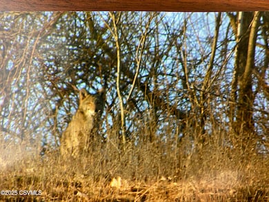 IMG_0244_1759866608899