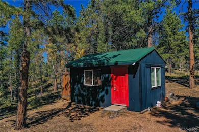 3447 Pathfinder Rd, Florissant, CO 80816 - photo 2