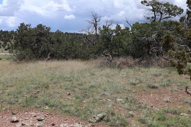 172 Windmill Cir, Datil, NM 87821 - photo 6
