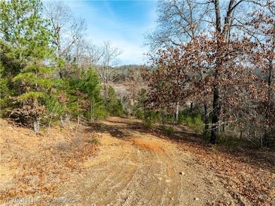 TBD Peaceful Ln, Natural Dam, AR 72948 - photo 2