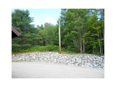 Other. Ski trail is right out the...