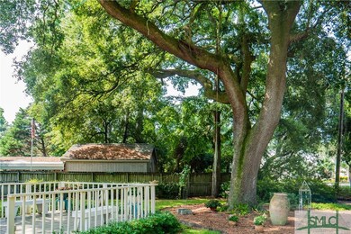 Gorgeous Live Oak!