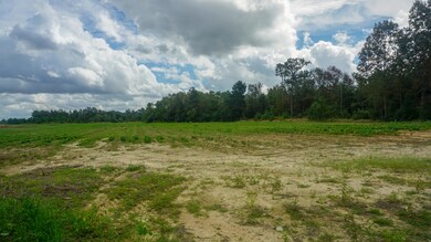 23.52 Ac Hwy 63 - S, Lucedale, MS 39452 - photo 2