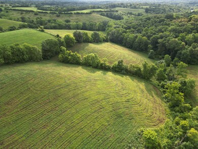DJI_00961