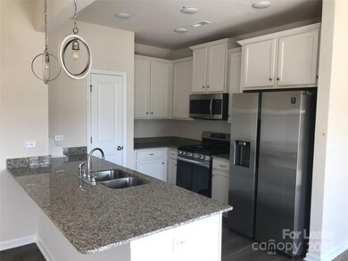 granite counter tops and SS appliances