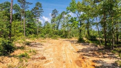 Tract 3 Harmony Mountain Rd, Clinton, AR 72031 - photo 6