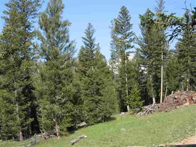 10 Rising Bear Rd, Big Sky, MT 59716 - photo 6