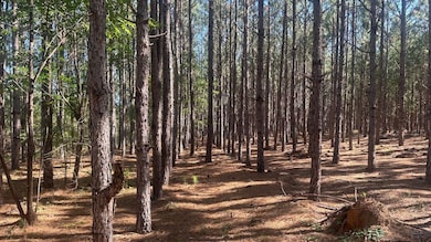 0 Dorsey Clark Rd unit 23736139, Sylvania, GA 30467 - photo 5