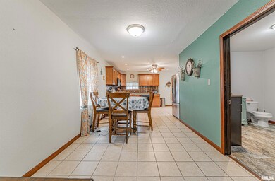 702 Lincoln Ave, Lincoln, IL 62656 - photo 6