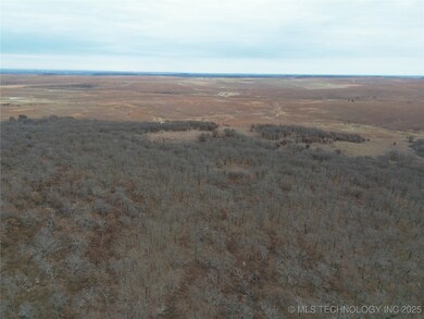 0005 County Road 2145, Bartlesville, OK 74003 - photo 4