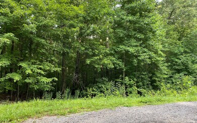 0 Crabapple Ct unit 309049, Ellijay, GA 30540 - photo 2