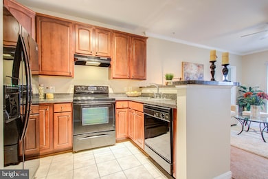 15614 Everglade Ln unit 404, Bowie, MD 20716 - photo 4