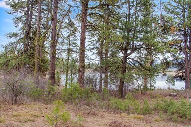Open & Wooded Lot