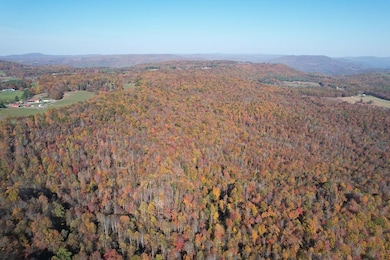 107 Cardinal Way, Bragg, WV 25918 - photo 2