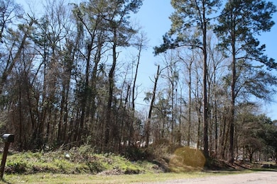 TBD Brooks Dr unit Lot  27, Denham Springs, LA 70726 - photo 3