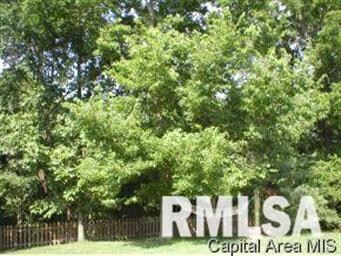 1456 Perbix Rd, Chapin, IL 62628 - photo 4