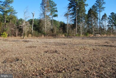 0 Wilson Dr unit 1003829874, Sandy Point, VA 22577 - photo 6