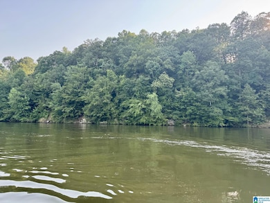 0 Wright Way Dr unit 21423149, Wedowee, AL 36278 - photo 2