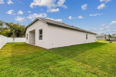 4931 Emerald Acres Way, Zephyrhills, FL 33541 - photo 5