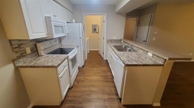 36243 Lake Chase Blvd unit 203, Zephyrhills, FL 33541 - photo 7