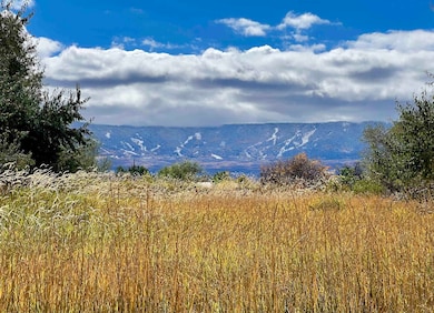 48933 Gaia Dr, Mesa, CO 81643 - photo 5