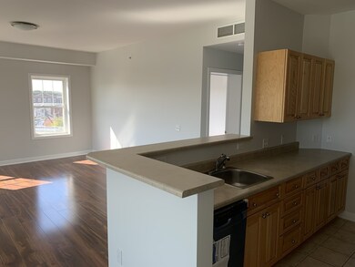 Walnut Place Condominiums unit 416, Peabody, MA 01960 - photo 5