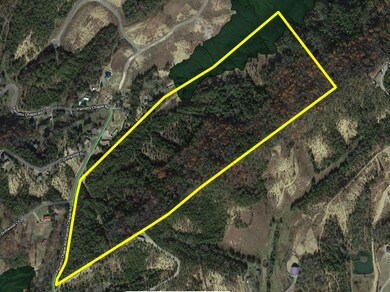 0 Parrotts Chapel Rd unit 1345667, Sevierville, TN 37876 - photo 3