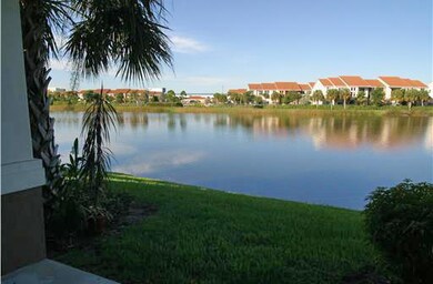backyard3