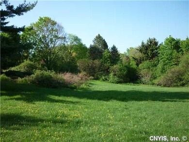Yard. View looking south.  Mature hedgerow creates