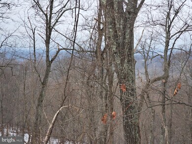 Lot 847,848,849 Blue Mountain Rd, Riverton, VA 22630 - photo 2