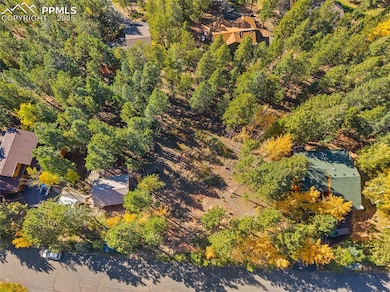 1320 Forest Edge Rd, Woodland Park, CO 80863 - photo 2