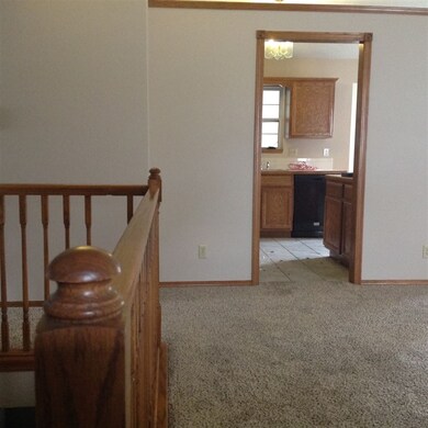 New Paint and carpet