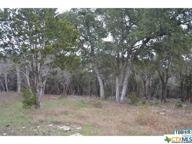 A0607BC Buggy Ride Rd, Temple, TX 76502 - photo 3