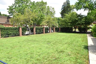 DSC_0517 (1)