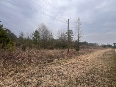 321 Fuller Rd, Minden, LA 71055 - photo 7