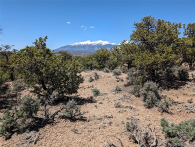 0 Icehouse Rd unit REC5283425, Fort Garland, CO 81133 - photo 6