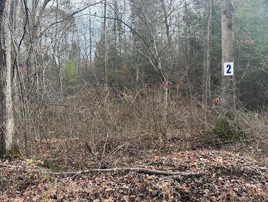 Lot 2 Radford Rd, East Bernstadt, KY 40729 - photo 7