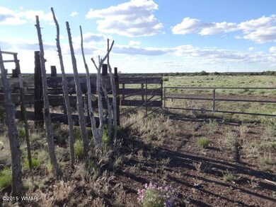 0 Tbd unit 304-11-016E 205653, White Mountain Lake, AZ 85912 - photo 5