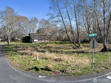 3212 Oysterville Rd, Oysterville, WA 98641 - photo 3