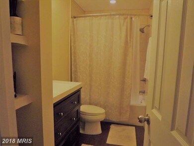 3840 Steppes Ct, Falls Church, VA 22041 - photo 4