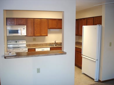 200 1st Ave unit 108, Sacred Heart, MN 56285 - photo 3