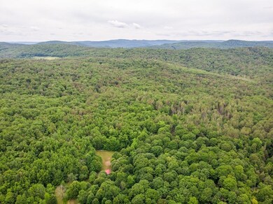 253 W Leyden Rd, Colrain, MA 01340 - photo 4