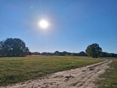 1071 County Road 2205, Ivanhoe, TX 75447 - photo 5