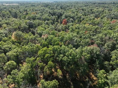 0 Sterling Truck Trail unit 11610290, Sterling, MI 48659 - photo 6