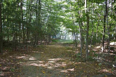 Map 33 Lot 68 Dillion Dr E, Strafford, NH 03884 - photo 3