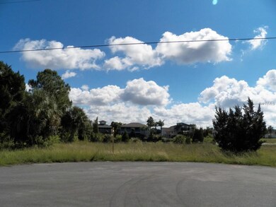 Hibiscus Dr, Hernando Beach, FL 34607 - photo 4