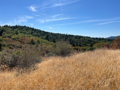 0 Dunn Moody Rd, Round Mountain, CA 96084 - photo 7