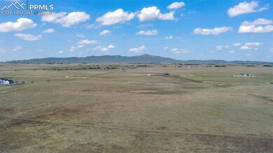 2605 Antelope Hill View, Peyton, CO 80831 - photo 4