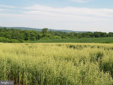 3714 Petersville Rd, Knoxville, MD 21758 - photo 4